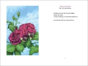 Buchcover und Innenansicht für das Buch: »Ich wollt' dein Bett mit einer Rose schmücken«