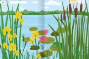 Buchcover und Innenansicht für das Buch: Naturforscher-Kids - Stickerheft Insekten