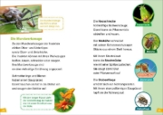Buchcover und Innenansicht für das Buch: WAS IST WAS Erstes Lesen Band 11. Insekten