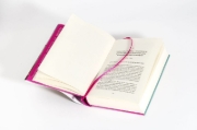 Buchcover und Innenansicht für das Buch: Mythen, Macht und Muttermund