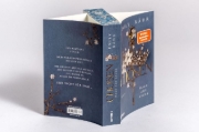 Buchcover und Innenansicht für das Buch: Chosen - Haus aus Asche