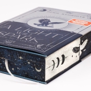 Buchcover und Innenansicht für das Buch: A Light Will Spark (School of Darkness 2)