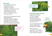 Buchcover und Innenansicht für das Buch: WAS IST WAS Erstes Lesen Doppelband 3.Vulkane/Regenwald