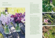 Buchcover und Innenansicht für das Buch: Blütenreich - Schnittblumen mit Herz und Hand vermehren