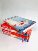 Buchcover und Innenansicht für das Buch: 22 Bahnen
