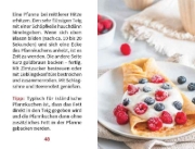 Buchcover und Innenansicht für das Buch: Pfannkuchen, Pancakes & mehr