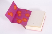 Buchcover und Innenansicht für das Buch: Beklaute Frauen