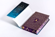 Buchcover und Innenansicht für das Buch: Alchemy of Secrets