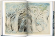Buchcover und Innenansicht für das Buch: William Blake. Dante's 'Divine Comedy'. The Complete Drawings