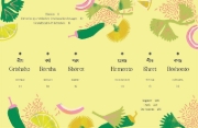 Buchcover und Innenansicht für das Buch: Monsoon