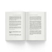 Buchcover und Innenansicht für das Buch: Bitcoin-Breakout