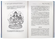 Buchcover und Innenansicht für das Buch: Tantra illuminated