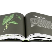 Buchcover und Innenansicht für das Buch: Plantopedia