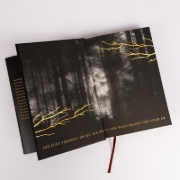Buchcover und Innenansicht für das Buch: The Wolf King