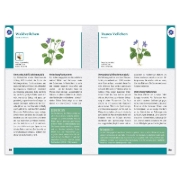 Buchcover und Innenansicht für das Buch: Wildblumen und Kräuter entdecken und bestimmen