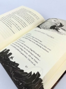 Buchcover und Innenansicht für das Buch: Magic Island - Auf geheimen Schwingen (Magic Island, Bd. 3)