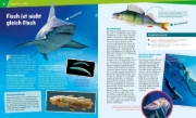 Buchcover und Innenansicht für das Buch: WAS IST WAS Band 41 Fische. Wunderwelt im Wasser