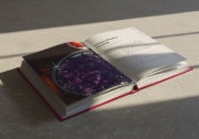 Buchcover und Innenansicht für das Buch: Forever Beautiful