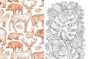 Buchcover und Innenansicht für das Buch: Flora, Fauna, Pflanzen & Bienen - Stickerbuch