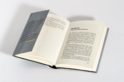 Buchcover und Innenansicht für das Buch: Raubzug von rechts