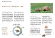 Buchcover und Innenansicht für das Buch: Igel im Garten