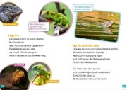 Buchcover und Innenansicht für das Buch: WAS IST WAS Erstes Lesen. Echsen