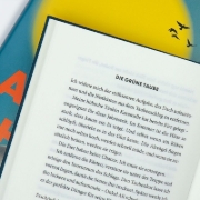 Buchcover und Innenansicht für das Buch: Der letzte Sommer der Tauben