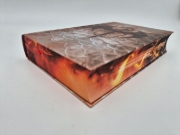 Buchcover und Innenansicht für das Buch: Dragon Cursed