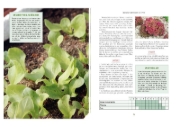 Buchcover und Innenansicht für das Buch: Der Survival-Garten - Gemüse- und Obstsorten, die allen Widrigkeiten trotzen