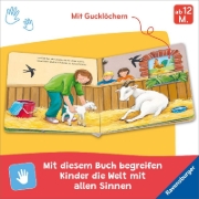 Buchcover und Innenansicht für das Buch: Mein Bauernhof Gucklochbuch