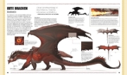 Buchcover und Innenansicht für das Buch: Dungeons & Dragons Das Buch der Drachen