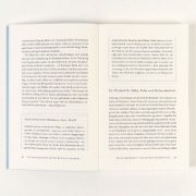 Buchcover und Innenansicht für das Buch: Wie Synchronität die Seele heilt