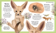 Buchcover und Innenansicht für das Buch: Tiergeschichten zum Träumen. Zauber der Nacht