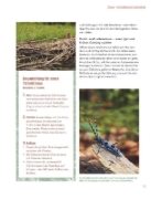 Buchcover und Innenansicht für das Buch: Let's go wild!