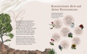 Buchcover und Innenansicht für das Buch: The Green Witch Illustrated: An Enchanting Immersion Into the Magic of Natural Witchcraft