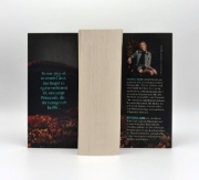 Buchcover und Innenansicht für das Buch: Kingdom of Ash