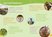 Buchcover und Innenansicht für das Buch: WAS IST WAS Erstes Lesen easy! Katzen - meine Lieblingstiere