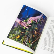 Buchcover und Innenansicht für das Buch: Einfach gärtnern! Naturnah und nachhaltig