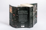 Buchcover und Innenansicht für das Buch: The Throne of Broken Gods (Gods & Monsters 02)