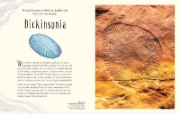 Buchcover und Innenansicht für das Buch: Wundervolle Welt der Dinosaurier und der Urzeit