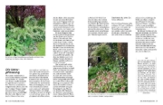 Buchcover und Innenansicht für das Buch: Kleine Bäume für den Garten