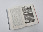 Buchcover und Innenansicht für das Buch: Gegenwind
