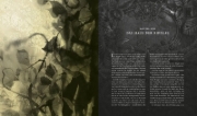 Buchcover und Innenansicht für das Buch: Harry Potter and the Goblet of Fire