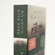 Buchcover und Innenansicht für das Buch: A Faint Cold Fear