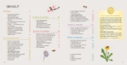 Buchcover und Innenansicht für das Buch: Bienen Basics