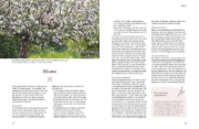 Buchcover und Innenansicht für das Buch: Pflegeleichte Naturgärten gestalten