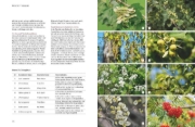 Buchcover und Innenansicht für das Buch: Pflegeleichte Naturgärten gestalten