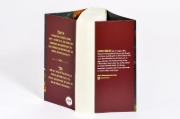 Buchcover und Innenansicht für das Buch: Kiss of the Basilisk (Split or Swallow 1)