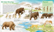 Buchcover und Innenansicht für das Buch: WAS IST WAS Junior Band 30. Dinosaurier und Tiere der Urzeit