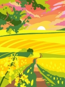 Buchcover und Innenansicht für das Buch: Colorful Surprise - Blumen